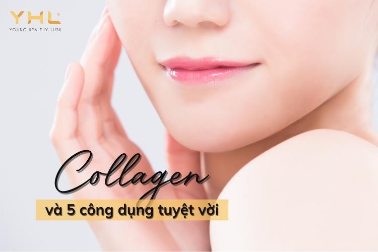 Điểm qua 5 công dụng của Collagen đối với sức khỏe và làn da