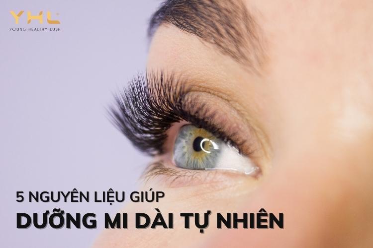 5 cách dưỡng mi dài tự nhiên dễ thực hiện tại nhà