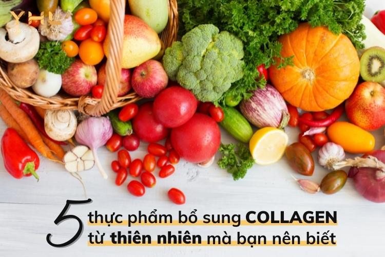 5 thực phẩm bổ sung Collagen cho da lão hóa mà bạn nên biết