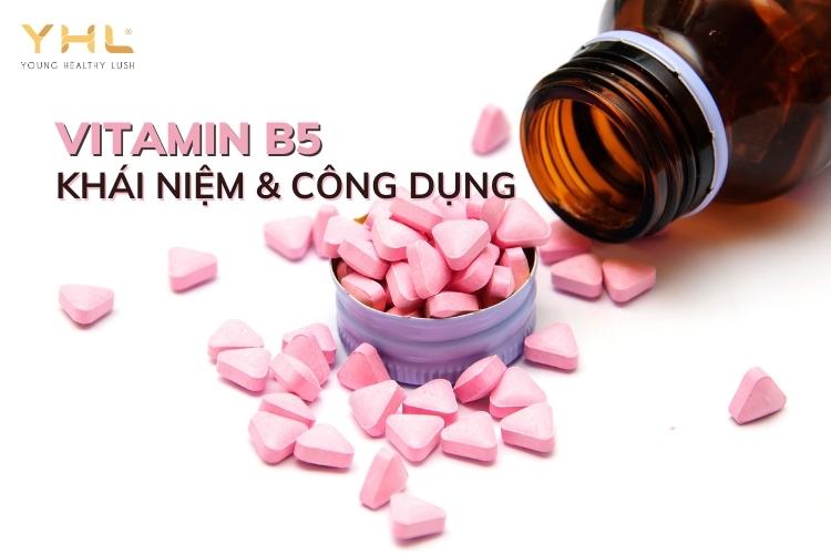 Vitamin B5 và những thông tin cơ bản bạn nên biết