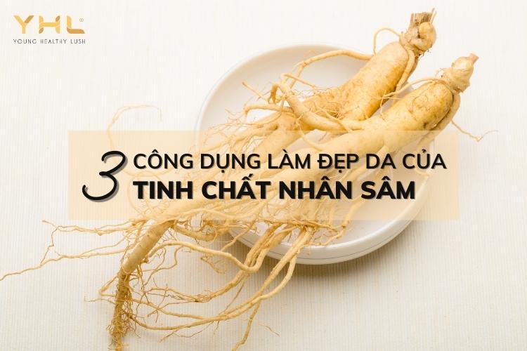 Tinh chất nhân sâm và 3 công dụng “thần kỳ” cho da