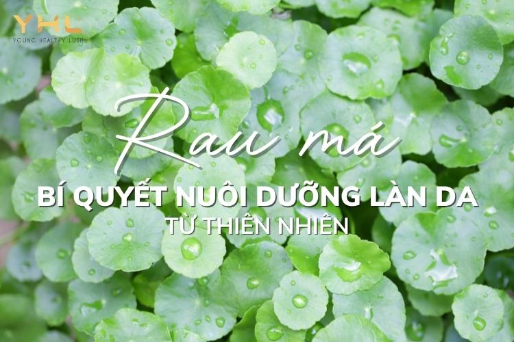 4 công dụng của rau má giúp chị em có làn da trắng sáng