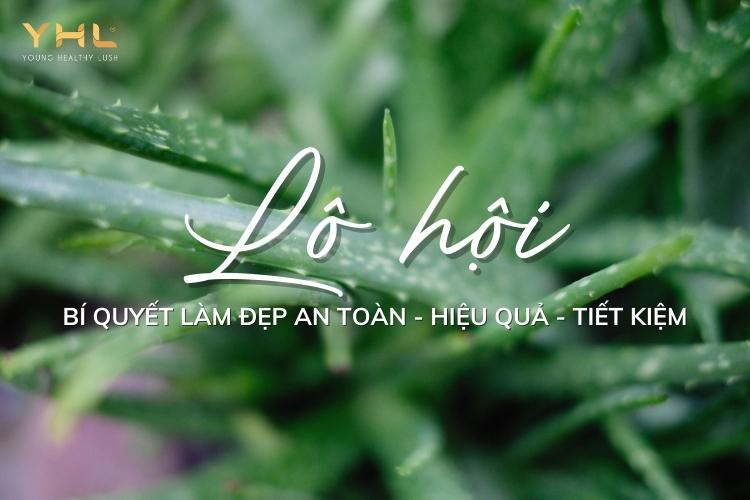 Tác dụng “thần kì” trong công cuộc làm đẹp với lô hội mà chị em nên biết