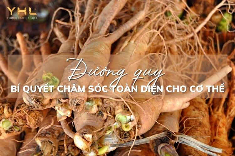 Bí quyết sống khoẻ nhờ 6 công dụng của đương quy