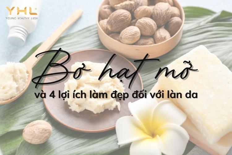 Bơ hạt mỡ và 4 công dụng làm đẹp phù hợp với mọi loại da