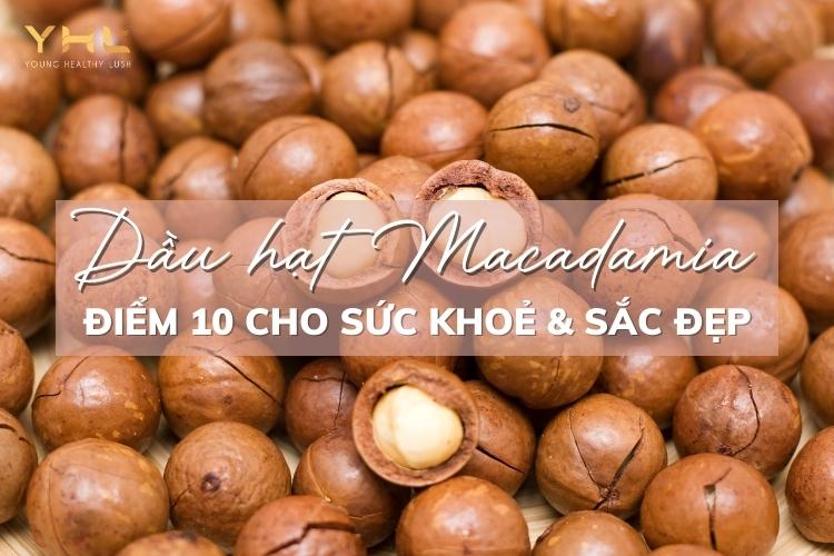 Dầu hạt Macadamia và 3 công dụng “thần thánh” đối với sức khỏe và sắc đẹp