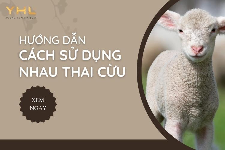 Hướng dẫn cách sử dụng nhau thai cừu hiệu quả trong chăm sóc làn da